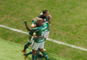 palmeiras